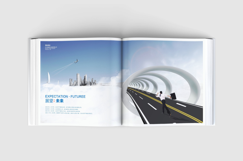 边坝县画册设计